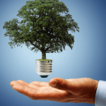 Ana Lúcia Lopes Paneguini