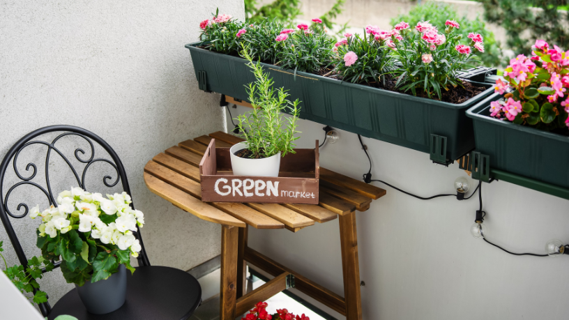 Paulo Augusto Berchielli