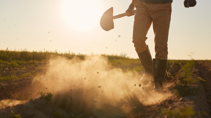 Investir em tecnologia vestível rural gera conforto e eficiência, reforça Aldo Vendramin.